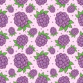 Boysenberries Fruit Fruit Seamless Pattern Vector Royalty Free Stock Photo