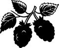 boysenberry Black Silhouette Generative Ai Royalty Free Stock Photo