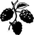 boysenberry Black Silhouette Generative Ai Royalty Free Stock Photo