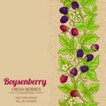 Boysenberry vector background Royalty Free Stock Photo