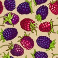 Boysenberry vector pattern Royalty Free Stock Photo