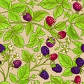 Boysenberry vector pattern Royalty Free Stock Photo