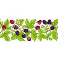 Boysenberry vector pattern Royalty Free Stock Photo