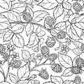 Boysenberry vector pattern Royalty Free Stock Photo