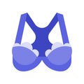 Bra or Brassiere vector illustration, flat style icon