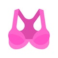 Bra or Brassiere vector illustration, flat style icon