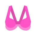 Bra or Brassiere vector illustration, flat style icon