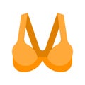Bra or Brassiere vector illustration, flat style icon
