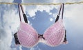 Bra hang on the rope Royalty Free Stock Photo