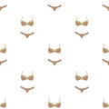 Bra and panties brown for women. Female swimsuit. Underwear . Woman clothes single icon in cartoon style vector symbo
