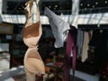 Bra and panties dried on the rope Royalty Free Stock Photo