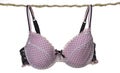 Bra on the rope Royalty Free Stock Photo