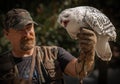 Screaming great white snowy owl on a man`s hunting glove