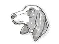 Bracco Italiano Dog Breed Cartoon Retro Drawing