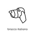 Bracco Italiano dog icon. Trendy modern flat linear vector Bracco Italiano dog icon on white background from thin line dogs Royalty Free Stock Photo