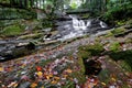 Autumn landscape - rocks covered with moss, fallen leaves. Mountain river with a waterf Royalty Free Stock Photo