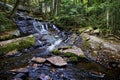 Waterfall in autumn forest at High Fall Park, Bracebridge, Ontario, Canada