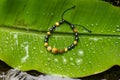 Bracelet packshot in direct sunlight, green leaf background