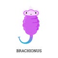 Brachionus purple cute cartoon character flat style, vector illustration Royalty Free Stock Photo