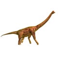 Brachiosaur Royalty Free Stock Photo