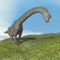 Brachiosaurus dinosaur - 3D render Royalty Free Stock Photo