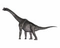 Brachiosaurus dinosaur - 3D render Royalty Free Stock Photo