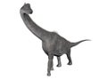 Brachiosaurus dinosaur - 3D render Royalty Free Stock Photo