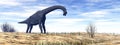 Brachiosaurus dinosaur in the desert - 3D render Royalty Free Stock Photo