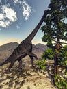 Brachiosaurus dinosaur eating wollomia pine - 3D Royalty Free Stock Photo