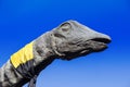 Brachiosaurus Dinosaur Head and Neck Royalty Free Stock Photo
