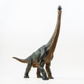 Brachiosaurus ,dinosaur on white background