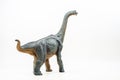 Brachiosaurus ,dinosaur on white background