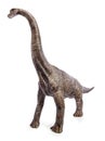 Brachiosaurus dinosaurs toy.