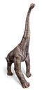 Brachiosaurus dinosaurs toy.