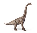 Brachiosaurus dinosaurs toy isolated on white background with clipping path.