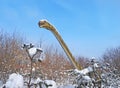 Brachiosaurus from the Late Jurassic Royalty Free Stock Photo