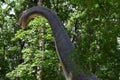 Brachiosaurus realistic model. Head close of dinosaur. Big model of prehistoric dinosaur Brachiosaurus in nature. Realistic