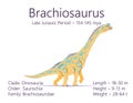 Brachiosaurus. Sauropodomorpha dinosaur. Colorful vector illustration of prehistoric creature brachiosaurus and