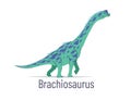 Brachiosaurus. Sauropodomorpha dinosaur. Colorful vector illustration of prehistoric creature brachiosaurus in hand Royalty Free Stock Photo