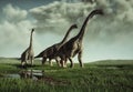Brachiosaurus species in the nature