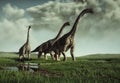 Brachiosaurus species in the nature Royalty Free Stock Photo