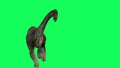 Brachiosaurus Walking On Green Background. Jurassic World Dinosaurs