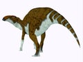 Brachylophosaurus Dinosaur Tail