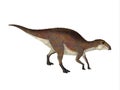 Brachylophosaurus Juvenile Walking