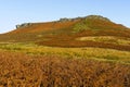 Standing in the thick bracken below Higger Tor looking up to the summit on a winter morning.