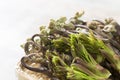 Bracken and cod buds in bamboo colander Royalty Free Stock Photo