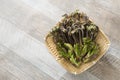 Bracken and cod buds in bamboo colander Royalty Free Stock Photo