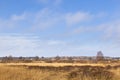 Moor Landscape, Eifel Royalty Free Stock Photo