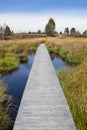 the MÃ¼tzenicher Venn - Brackvenn (moorland) on the German-Belgian border Royalty Free Stock Photo