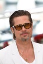 Brad Pitt Royalty Free Stock Photo